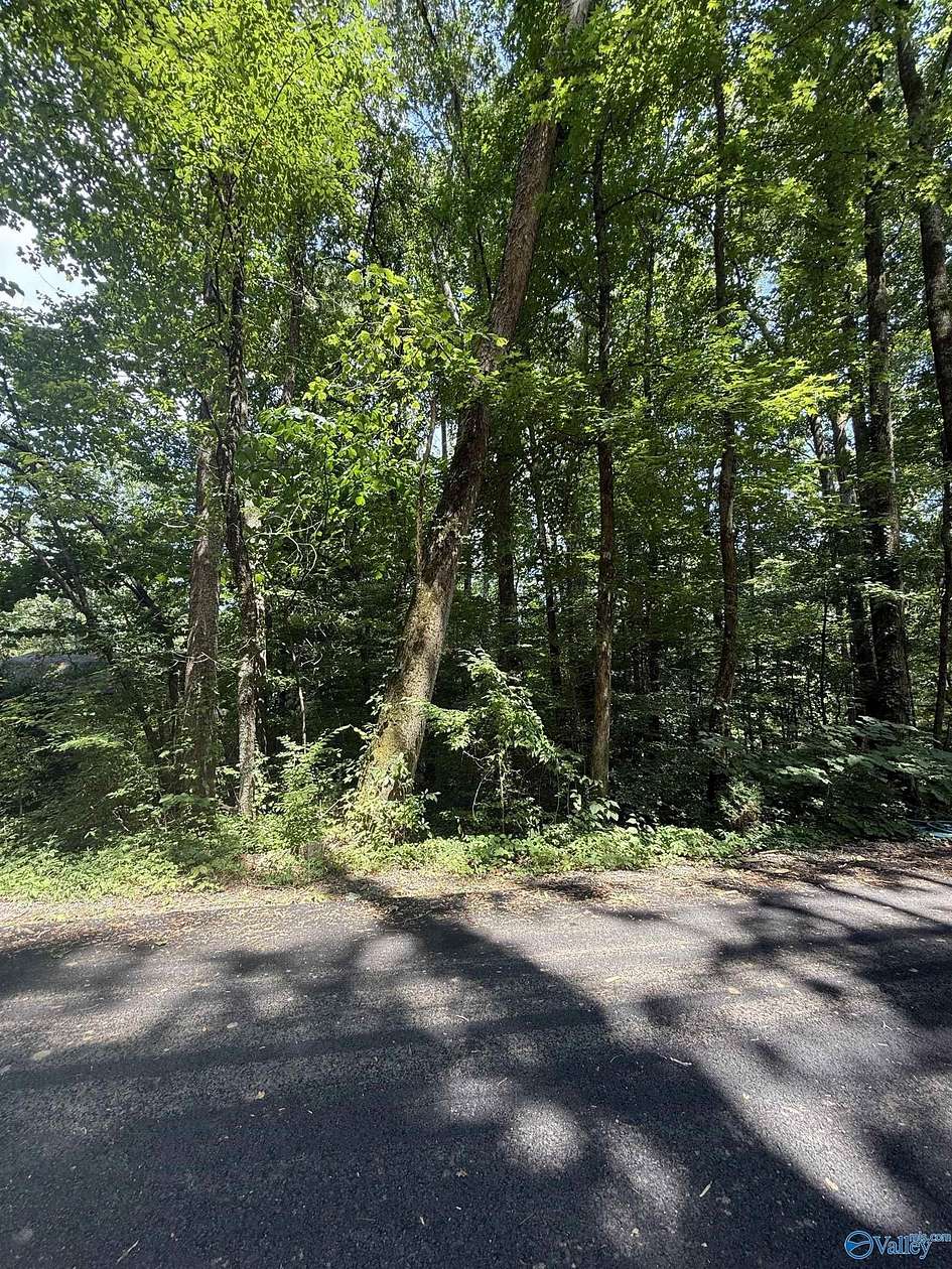 0.46 Acres of Residential Land for Sale in Grant, Alabama