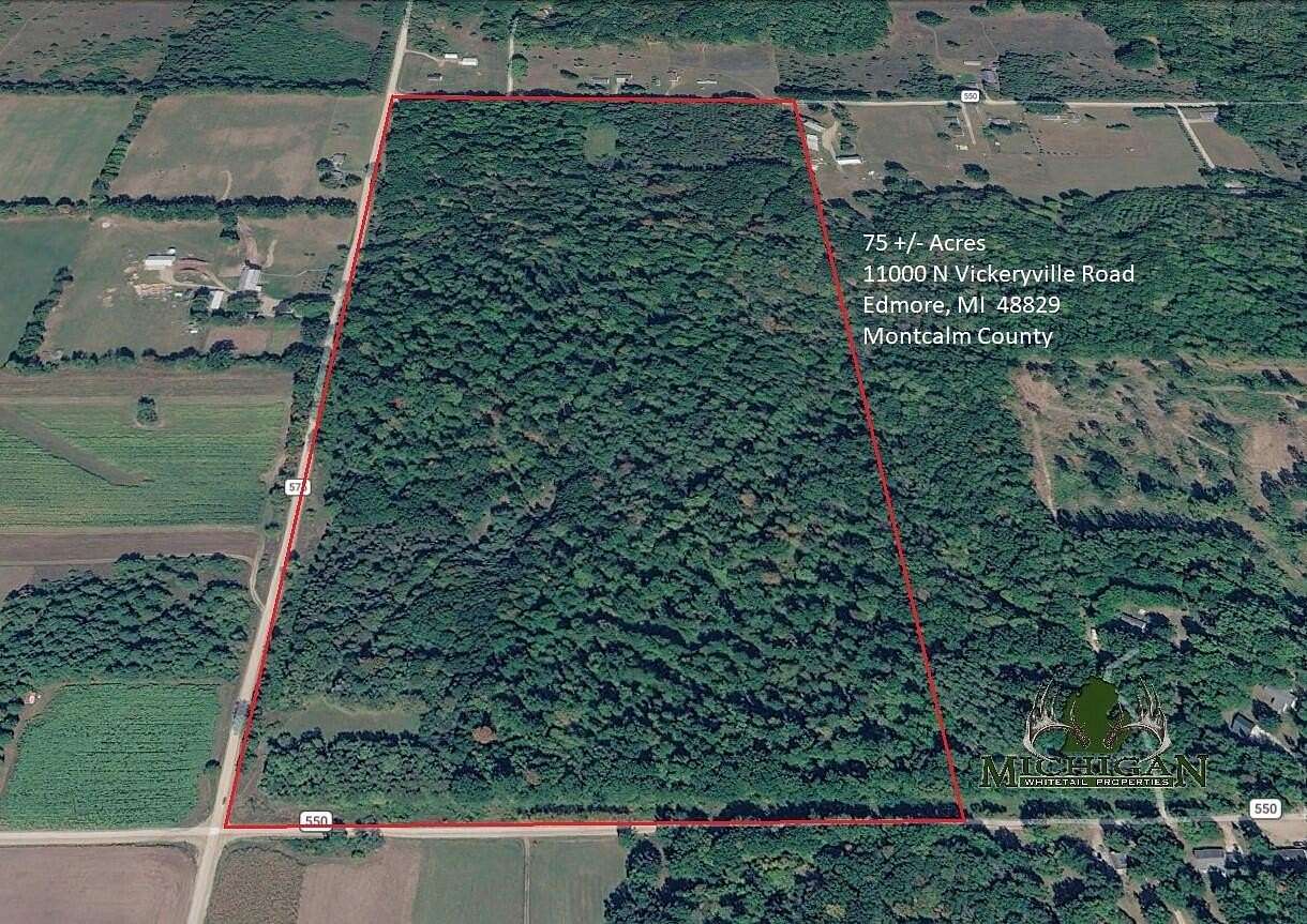 75 Acres of Recreational & Residential Land for Sale in Edmore, Michigan