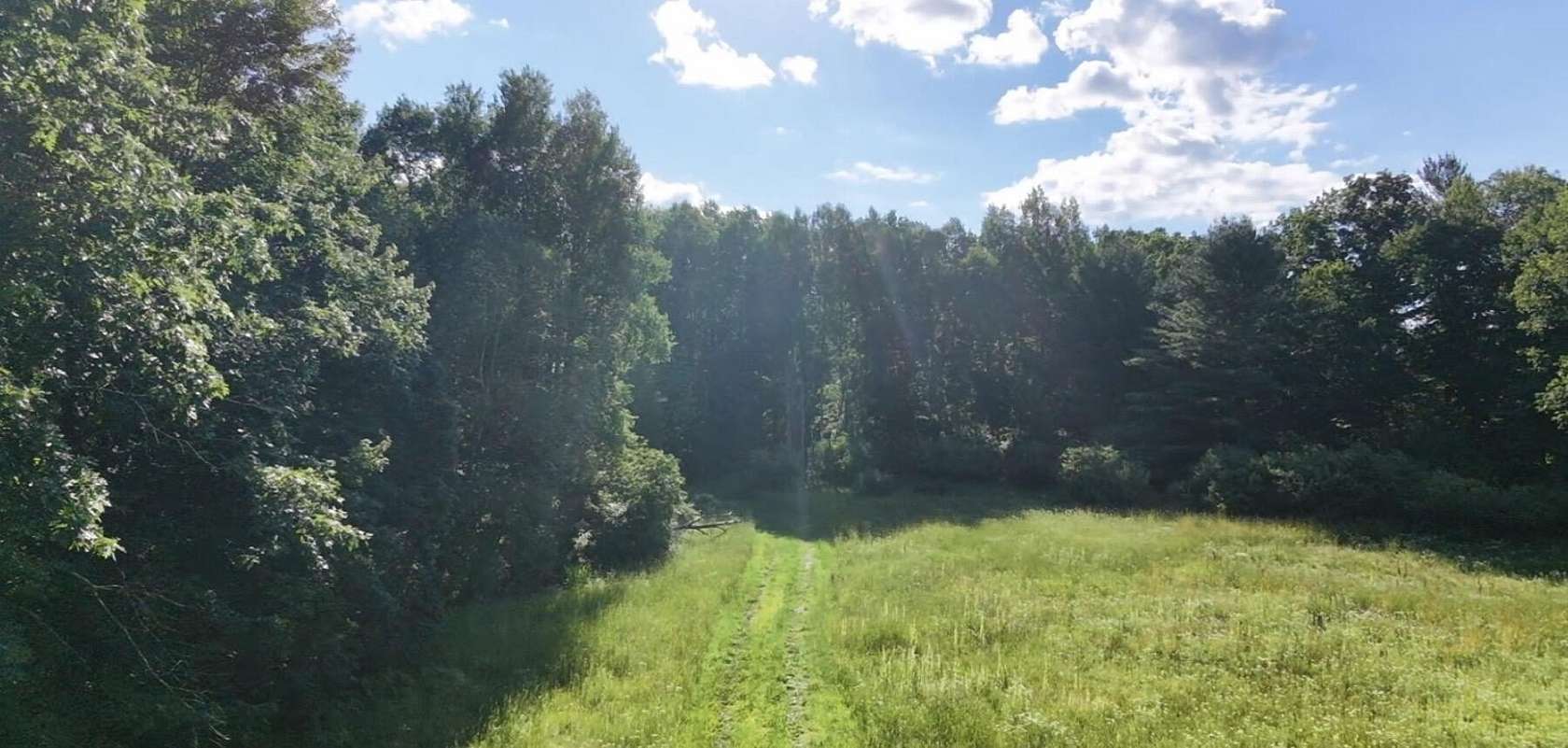 40 Acres of Recreational & Residential Land for Sale in Sidney, Michigan