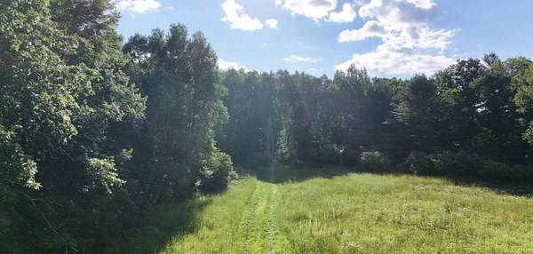 40 Acres of Recreational & Residential Land for Sale in Sidney, Michigan
