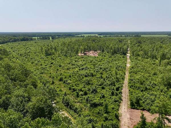 34.9 Acres of Recreational Land for Sale in Ernul, North Carolina