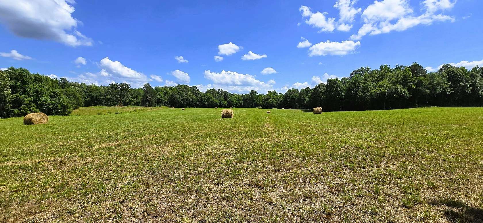 133 Acres of Land for Sale in Toone, Tennessee