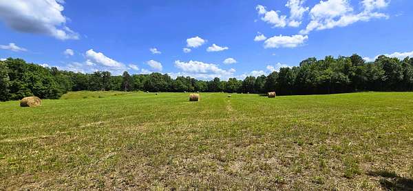 133 Acres of Land for Sale in Toone, Tennessee