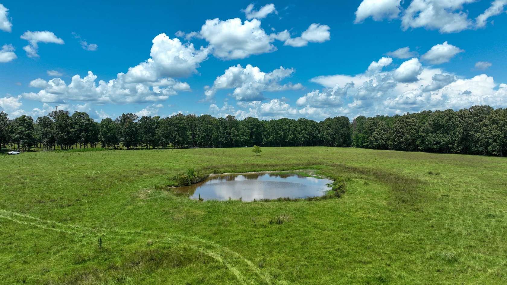 45.5 Acres of Land for Sale in Cedar Bluff, Mississippi