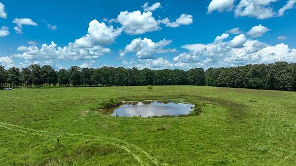 45.5 Acres of Land for Sale in Cedar Bluff, Mississippi