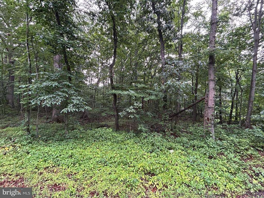 0.38 Acres of Residential Land for Sale in Winchester, Virginia