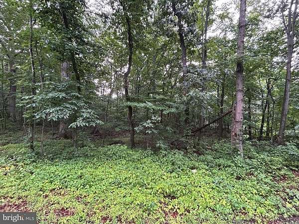 0.38 Acres of Residential Land for Sale in Winchester, Virginia