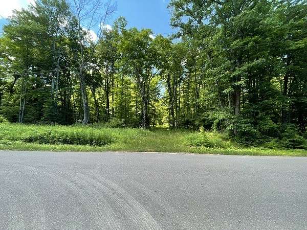 85 Acres of Recreational & Residential Land for Sale in Ojibwa, Wisconsin