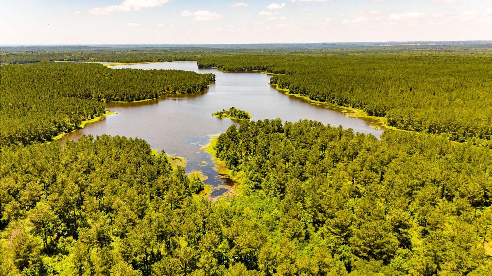 905 Acres of Land for Sale in Ellisville, Mississippi