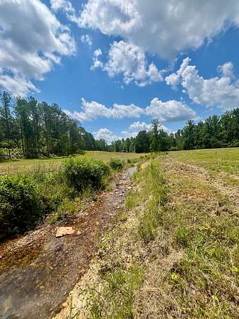 101 Acres of Recreational & Residential Land for Sale in Wadley, Alabama
