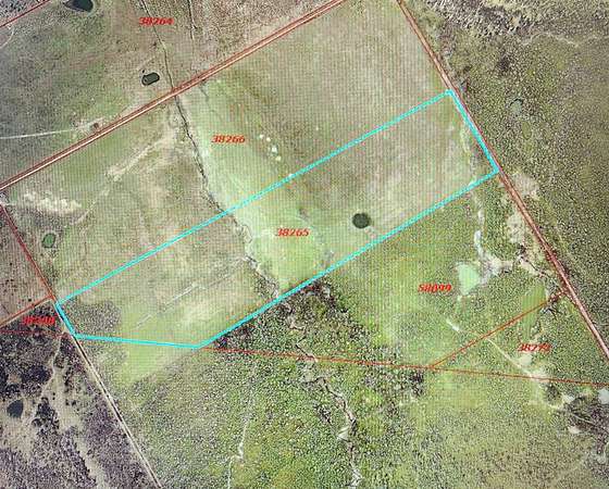123 Acres of Agricultural Land for Sale in Dawson, Texas