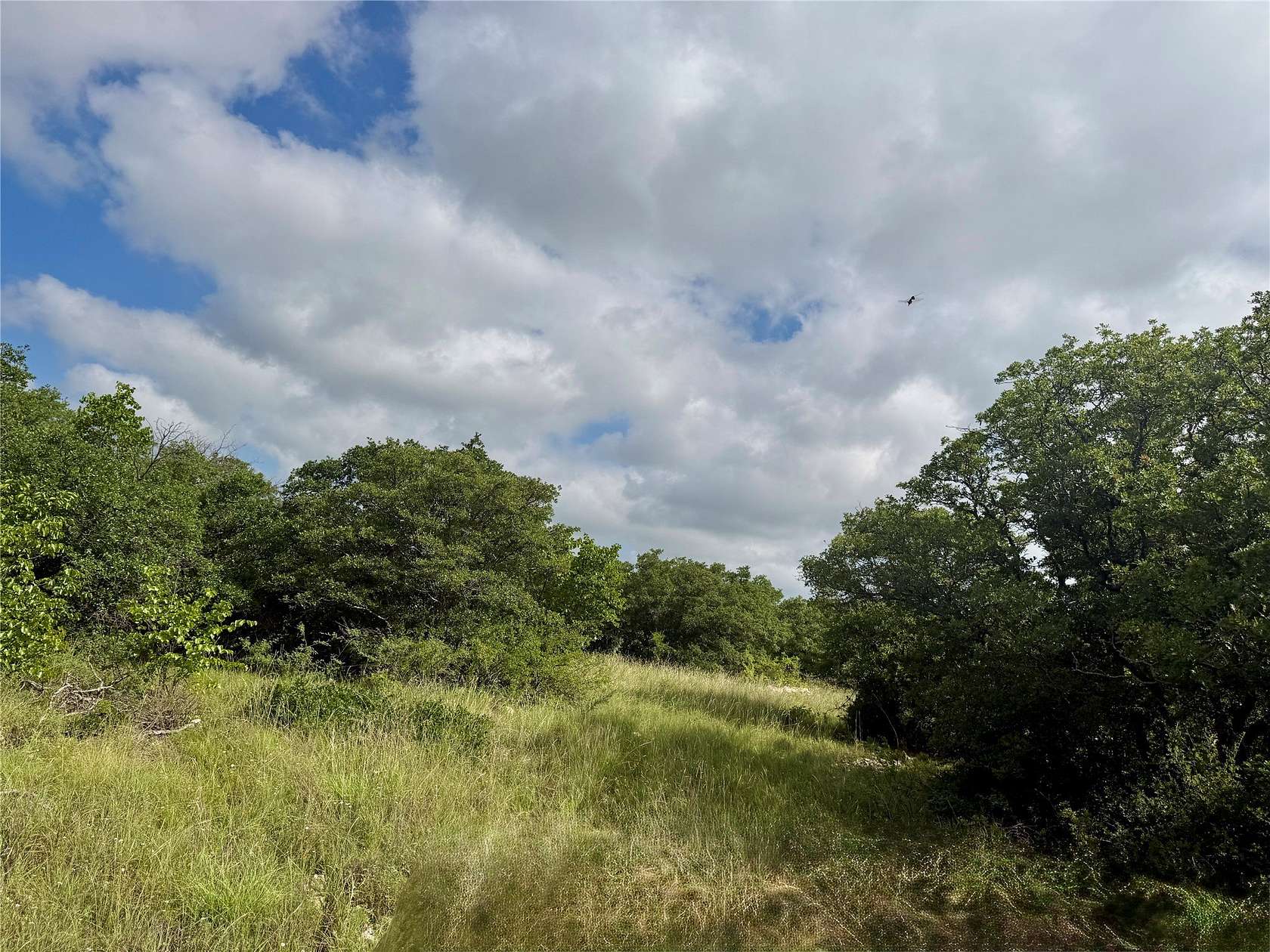 15.5 Acres of Recreational & Residential Land for Sale in Coleman, Texas