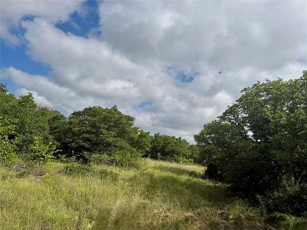 15.5 Acres of Recreational & Residential Land for Sale in Coleman, Texas