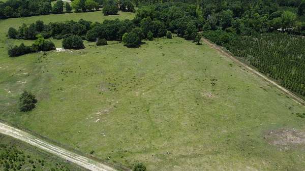34.1 Acres of Agricultural Land for Sale in Blakely, Georgia