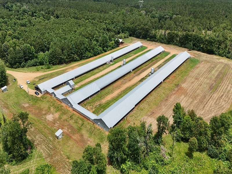 55 Acres of Agricultural Land for Sale in Liberty, Mississippi