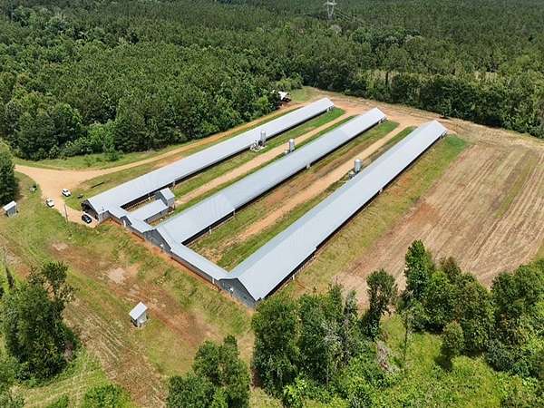 55 Acres of Agricultural Land for Sale in Liberty, Mississippi