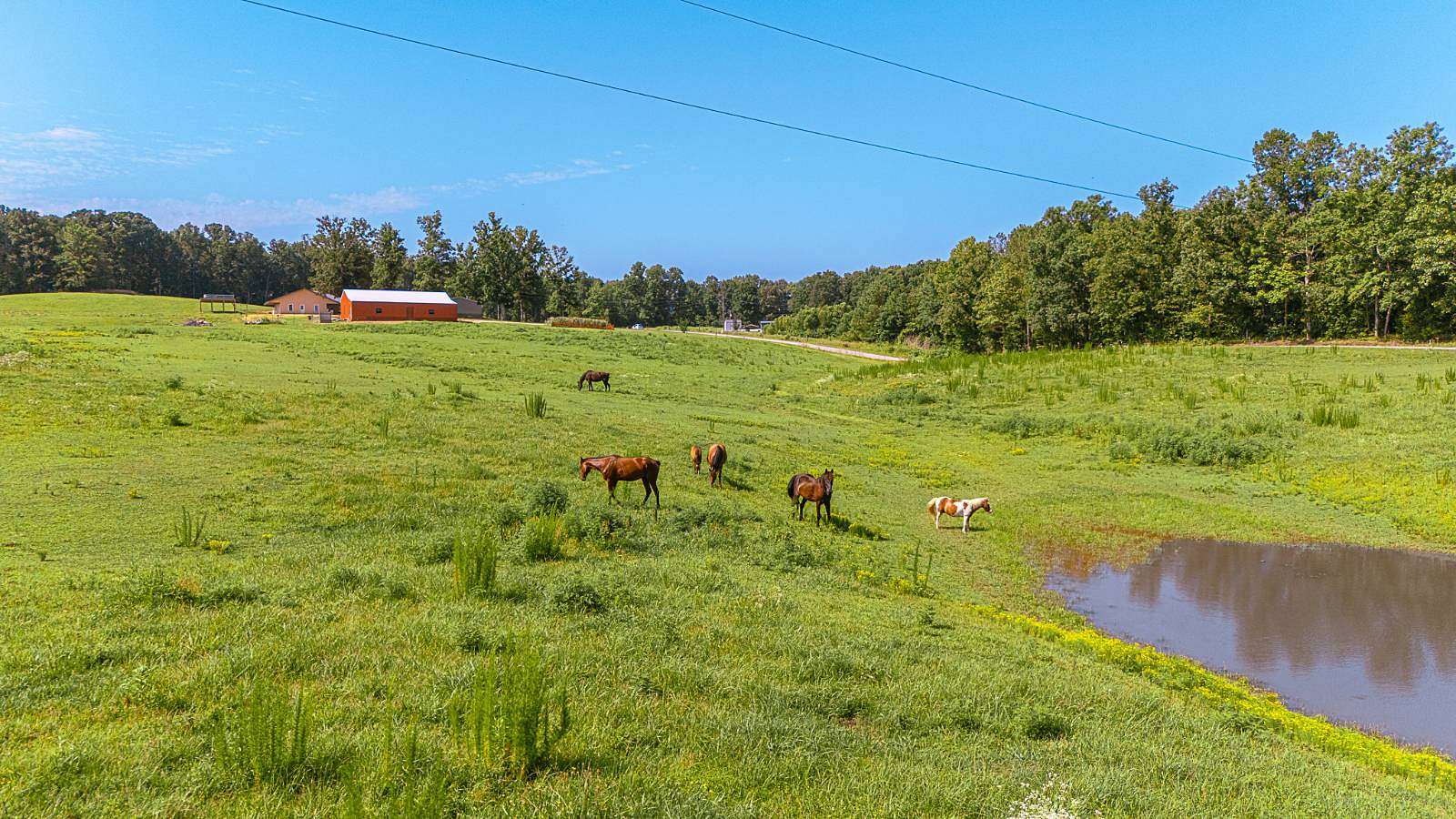 17.4 Acres of Land with Home for Sale in Big Sandy, Tennessee