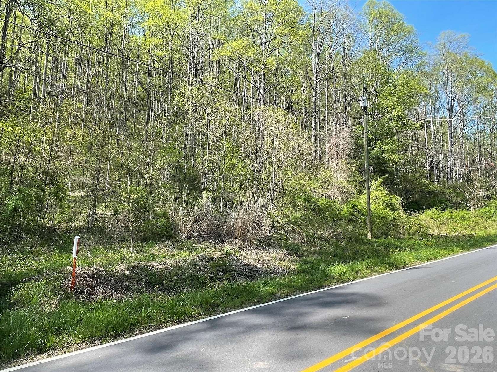 45.2 Acres of Recreational & Residential Land for Sale in Barnardsville, North Carolina