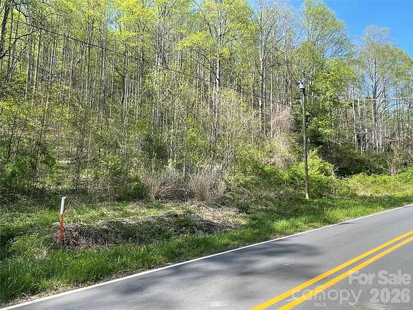 45.2 Acres of Recreational & Residential Land for Sale in Barnardsville, North Carolina