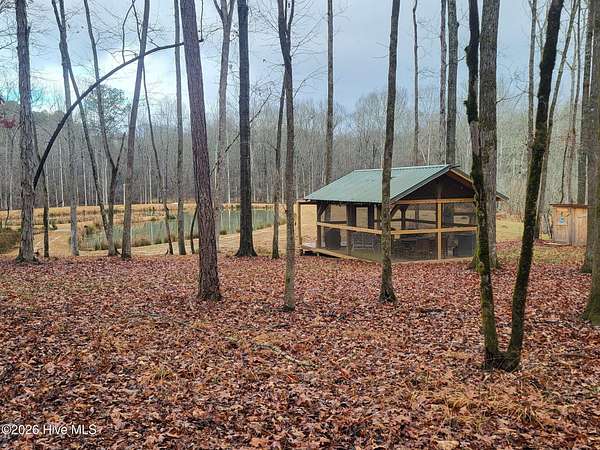 61.9 Acres of Recreational Land for Sale in Washington, Georgia