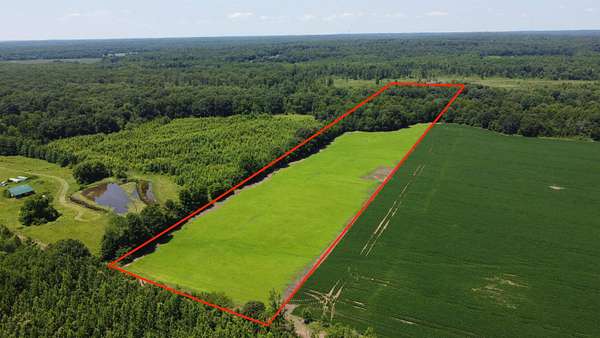 20 Acres of Recreational Land for Sale in Moscow, Tennessee