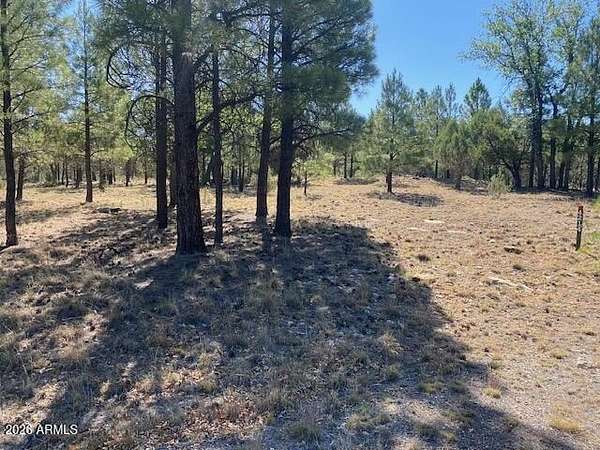 0.9 Acres of Residential Land for Sale in Happy Jack, Arizona
