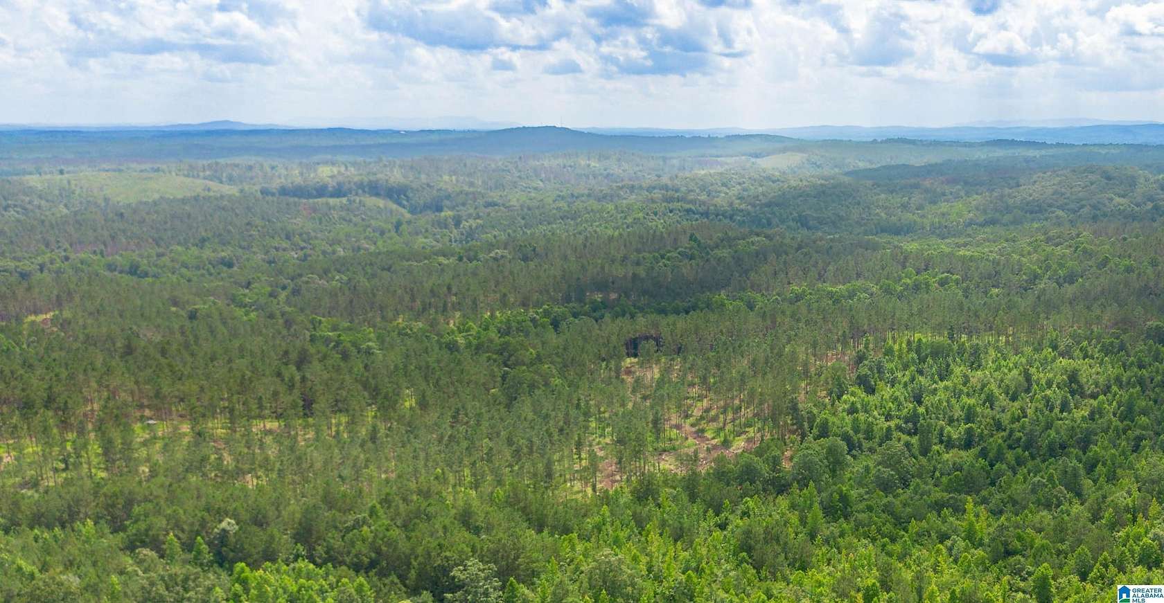 9.88 Acres of Residential Land for Sale in Fruithurst, Alabama