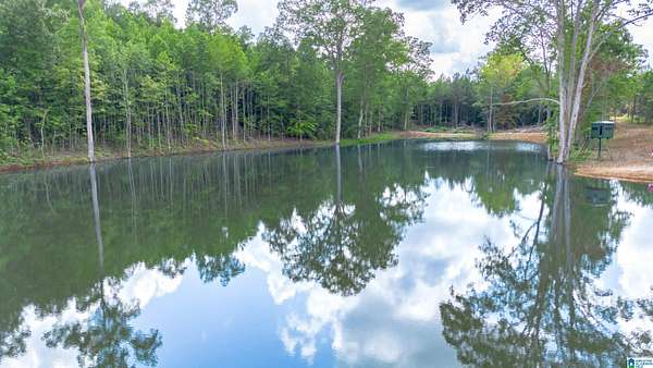 9.88 Acres of Residential Land for Sale in Fruithurst, Alabama