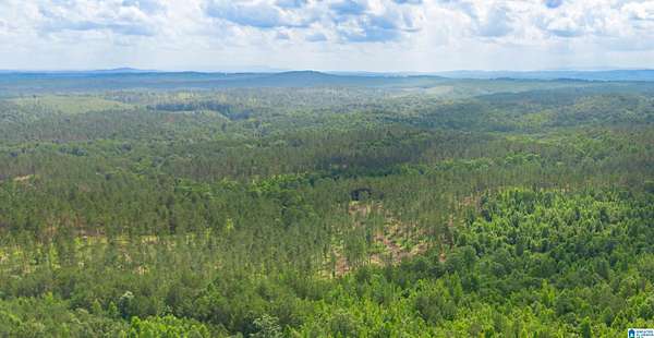 9.88 Acres of Residential Land for Sale in Fruithurst, Alabama