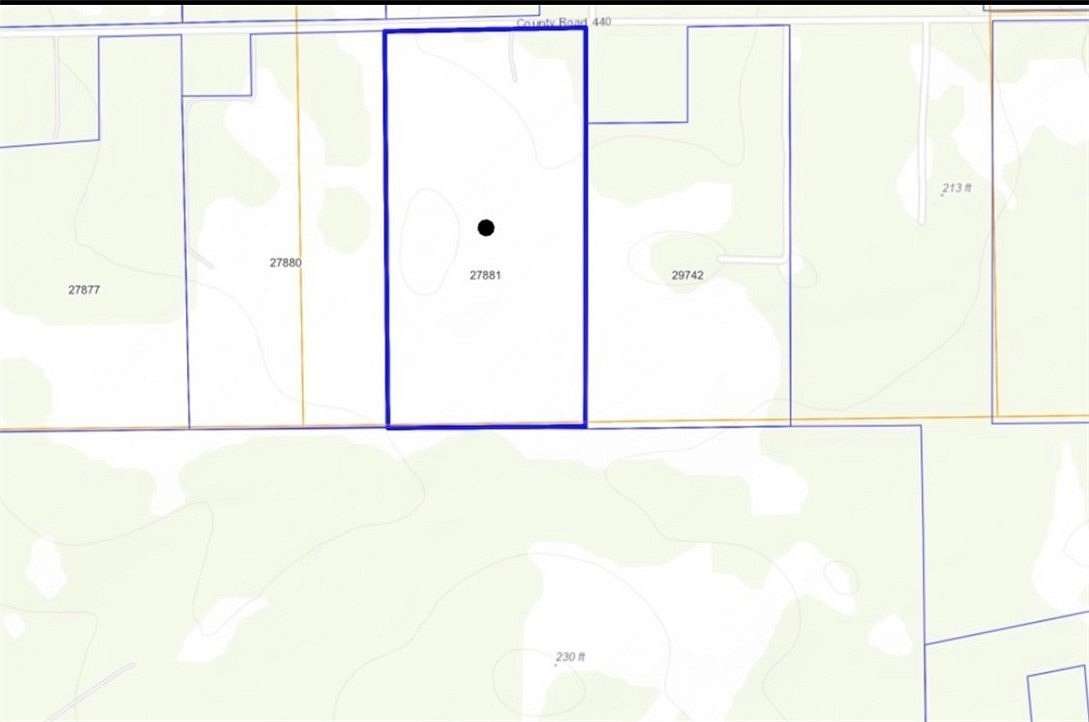 76.7 Acres of Land for Sale in Alice, Texas