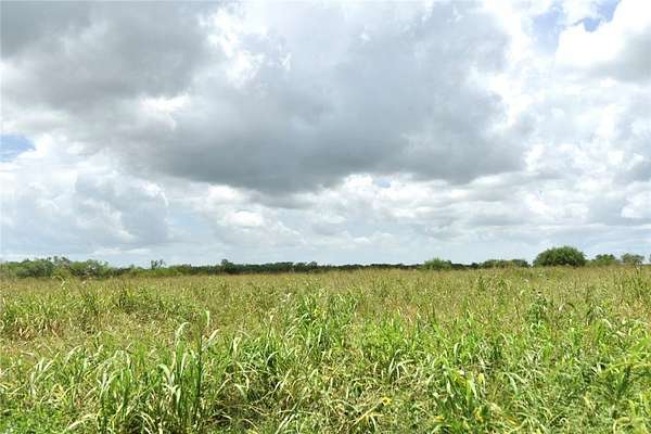 76.7 Acres of Land for Sale in Alice, Texas