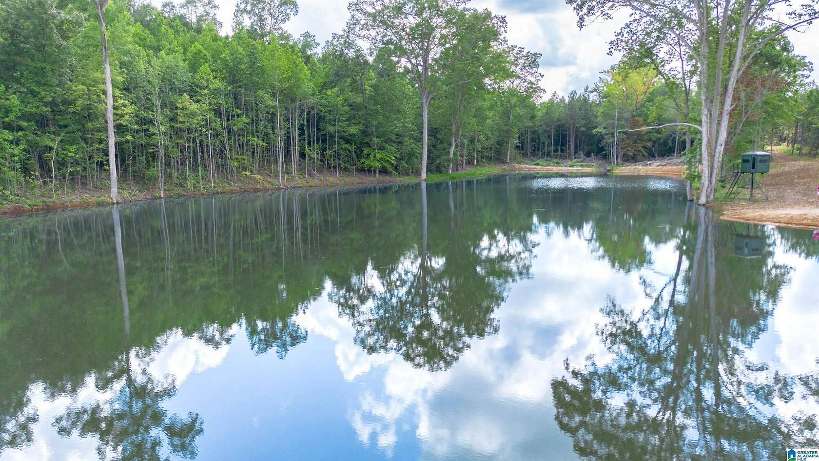 80 Acres of Recreational & Residential Land for Sale in Fruithurst, Alabama