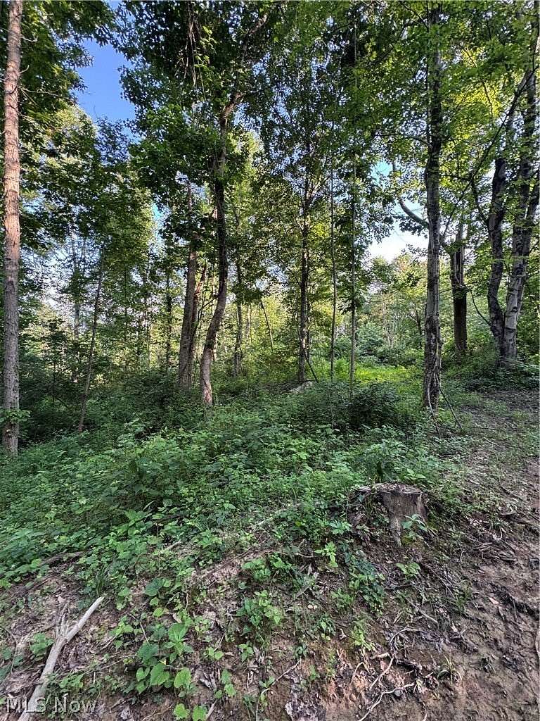 24.2 Acres of Recreational & Residential Land for Sale in Beverly, Ohio