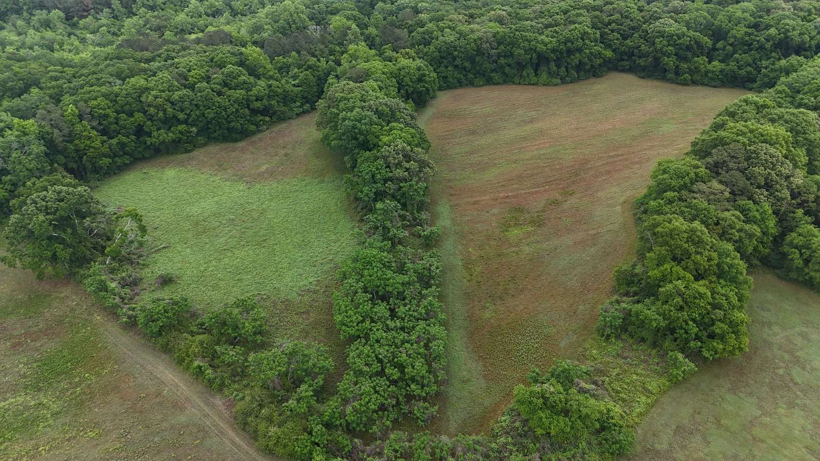 56 Acres of Land for Sale in Troy, Alabama