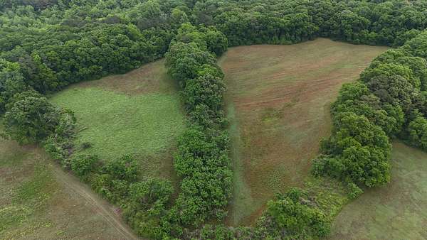 56 Acres of Land for Sale in Troy, Alabama