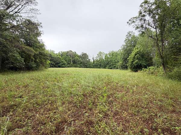 29 Acres of Recreational & Residential Land for Sale in Troy, Alabama