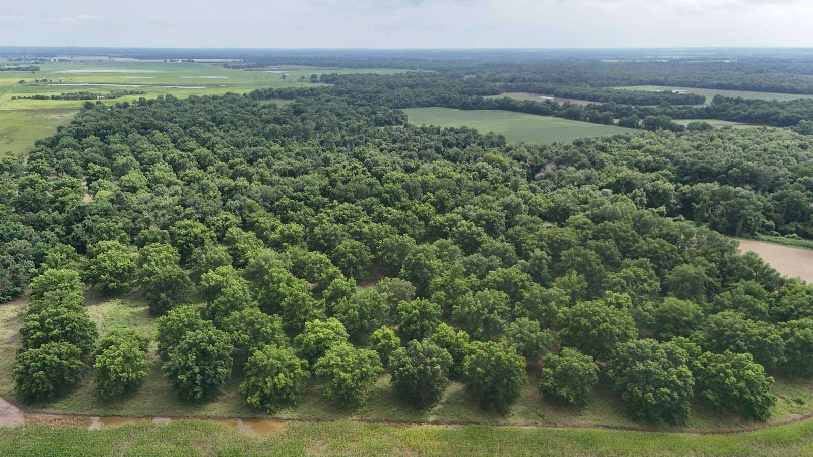 155 Acres of Recreational Land for Auction in Columbus, Kansas
