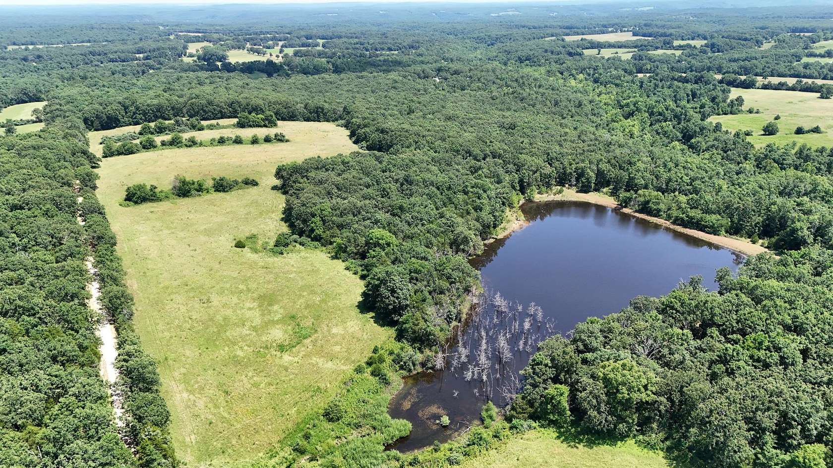 113 Acres of Land for Sale in Dixon, Missouri