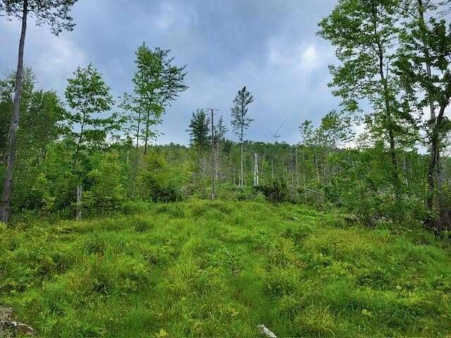 28.5 Acres of Recreational Land for Sale in Oakfield, Maine
