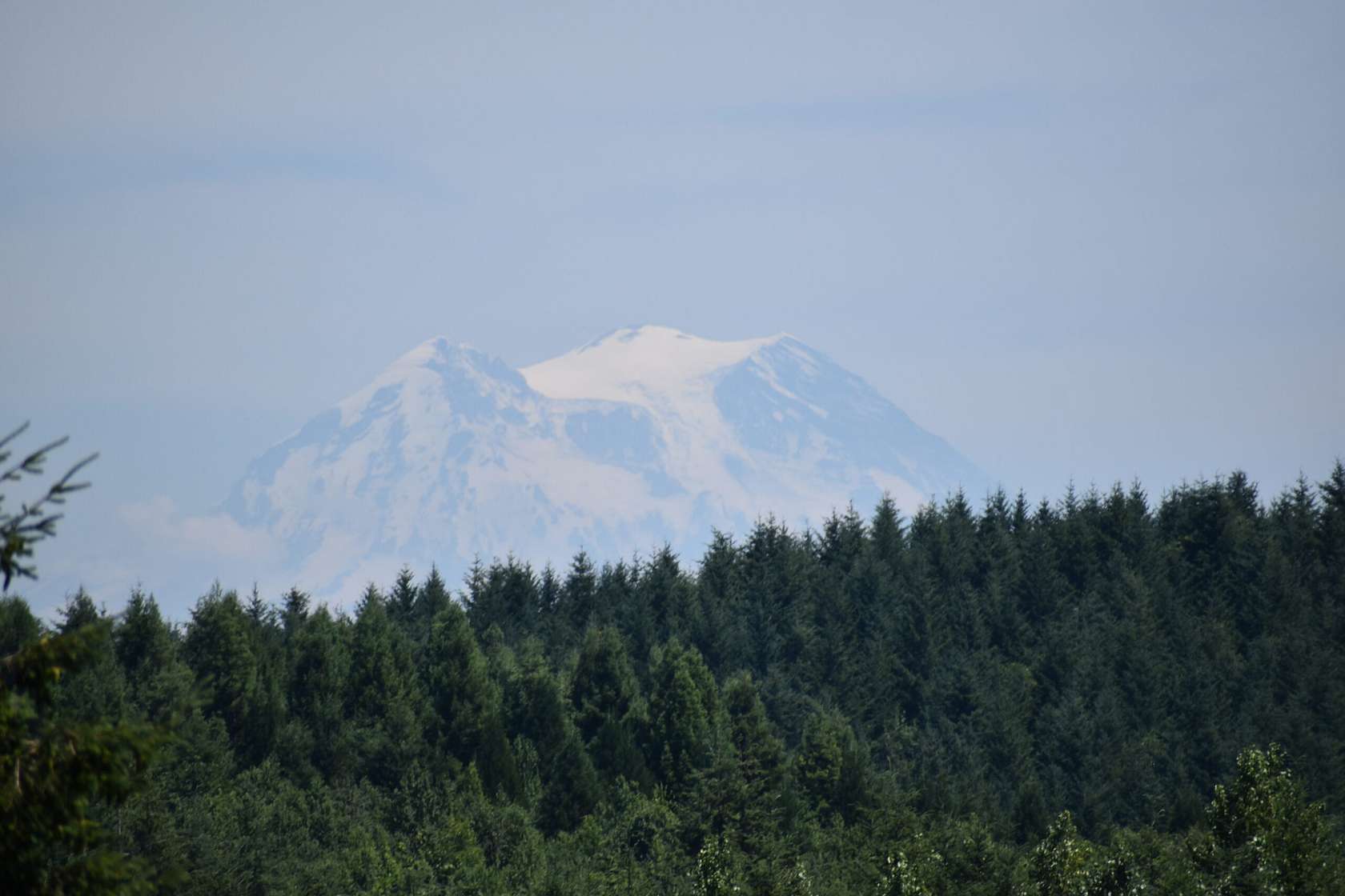 15.5 Acres of Recreational & Residential Land for Sale in Olympia, Washington