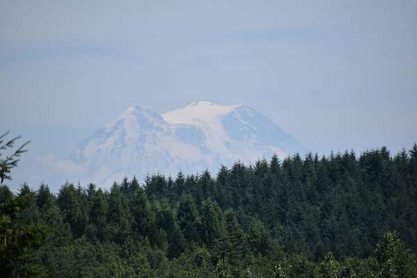 15.5 Acres of Recreational & Residential Land for Sale in Olympia, Washington