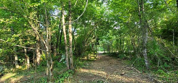 11 Acres of Improved Land for Sale in Spencer, Tennessee