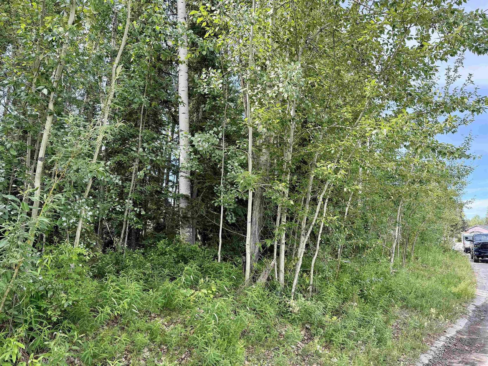 0.2 Acres of Residential Land for Sale in Fairbanks, Alaska