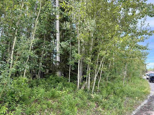 0.2 Acres of Residential Land for Sale in Fairbanks, Alaska