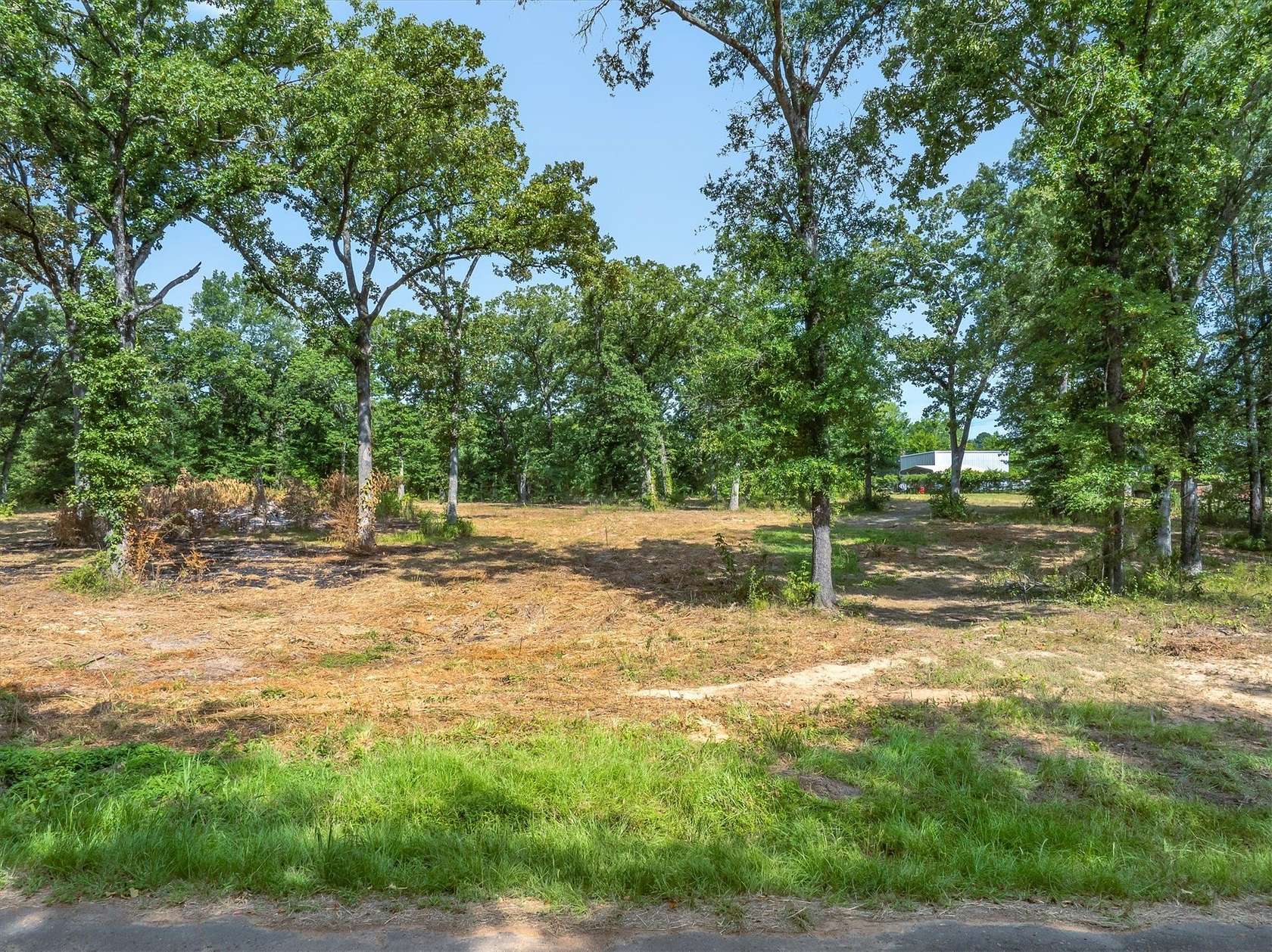 3 Acres of Mixed-Use Land for Sale in Mineola, Texas