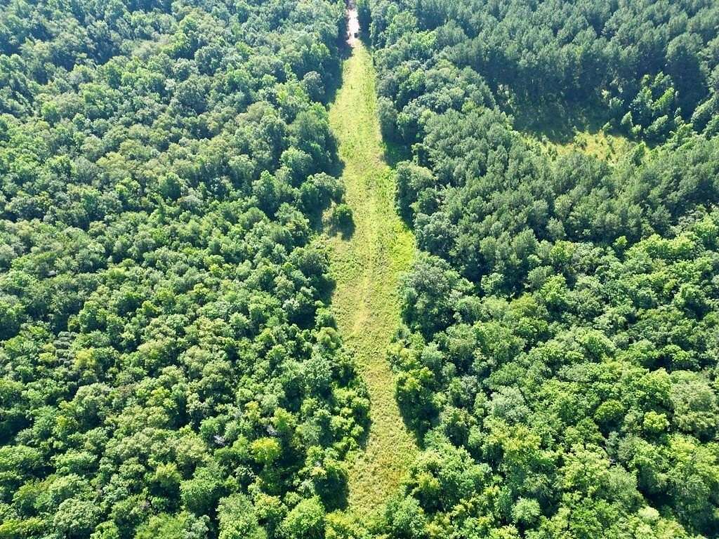 145 Acres of Recreational Land for Sale in Brundidge, Alabama