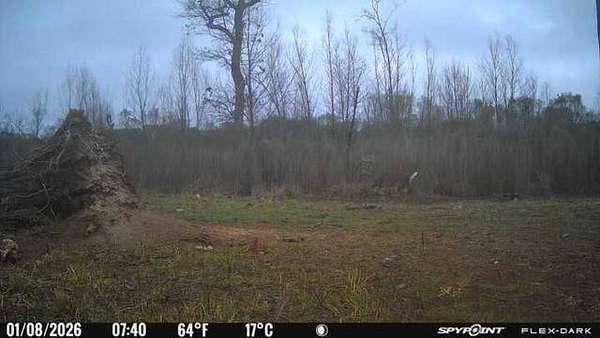 313 Acres of Recreational Land for Sale in Simmesport, Louisiana