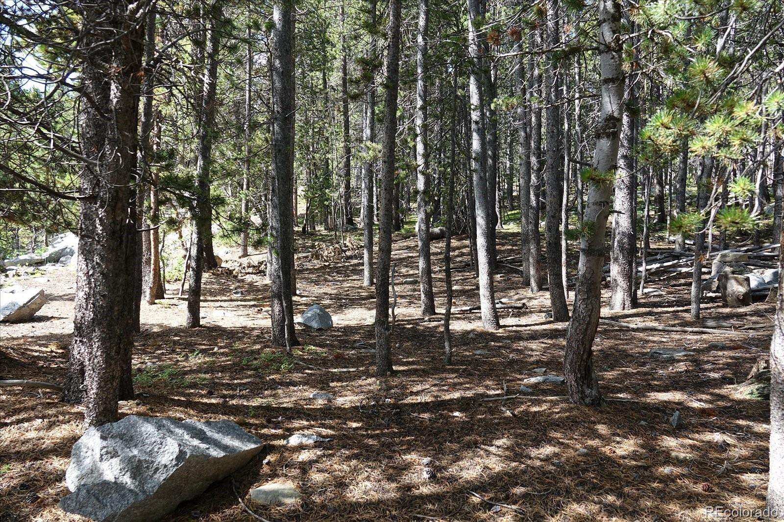 0.79 Acres of Residential Land for Sale in Idaho Springs, Colorado