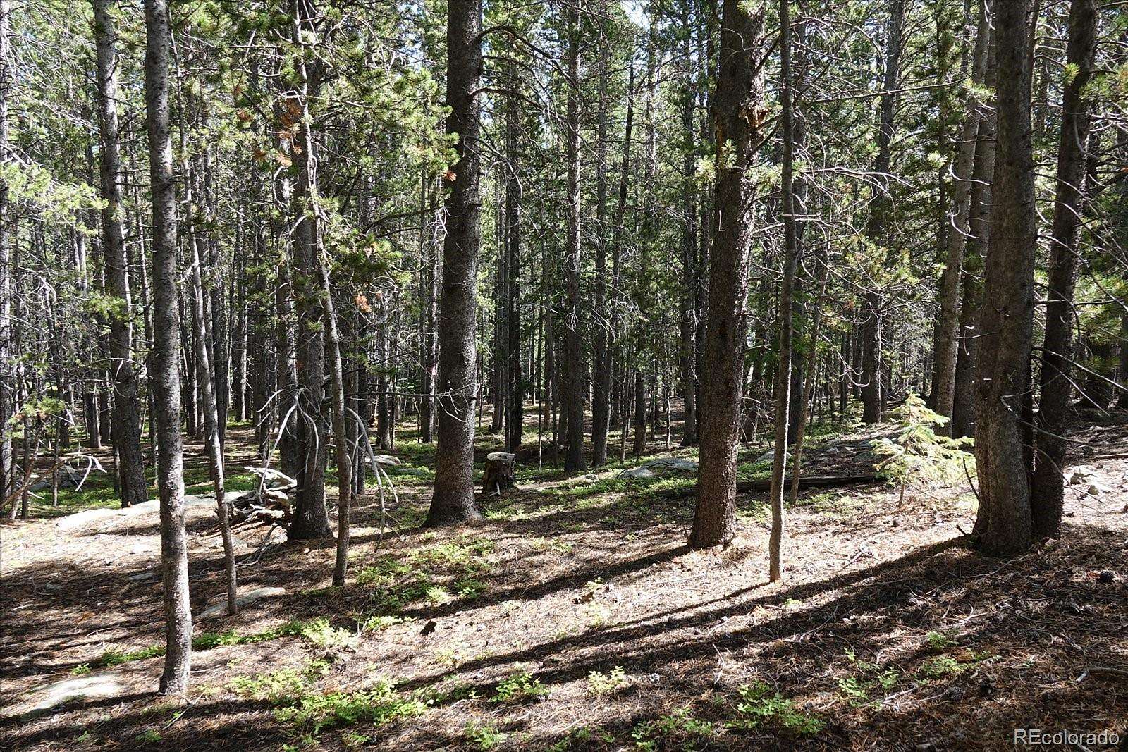 0.79 Acres of Residential Land for Sale in Idaho Springs, Colorado