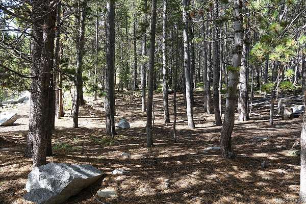 0.79 Acres of Residential Land for Sale in Idaho Springs, Colorado